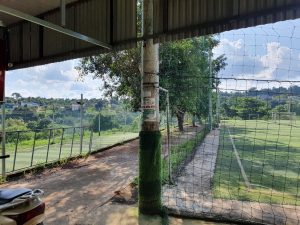 sân bóng đá cỏ nhân tạo chất lượng nhất tại tỉnh Đắk Nông